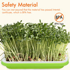Gardzen 5-Pack Sprouts Growing Kit, Bean Sprouts Tray, Soil-Free Sprouting Tray, Ideal for Mung, Wheatgrass, Indoor Gardening