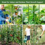 Riare 6 Pack 5.2 FT Tomato Cages for Garden, Heavy Duty Tomato Trellis