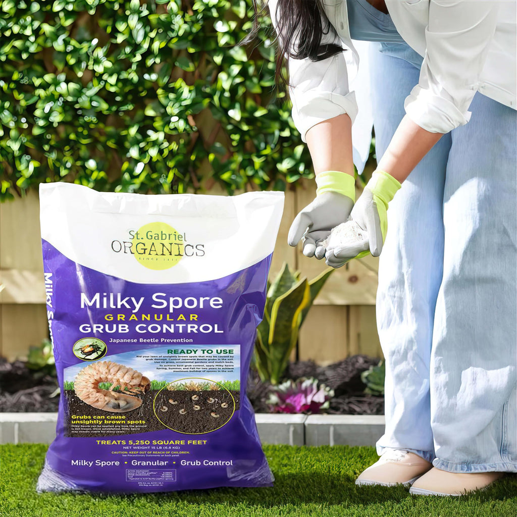 St. Gabriel Organics - 15 Pound Milky Spore Granular Natural Japanese Beetle Grub Control and Repellent for Lawn and Garden Care