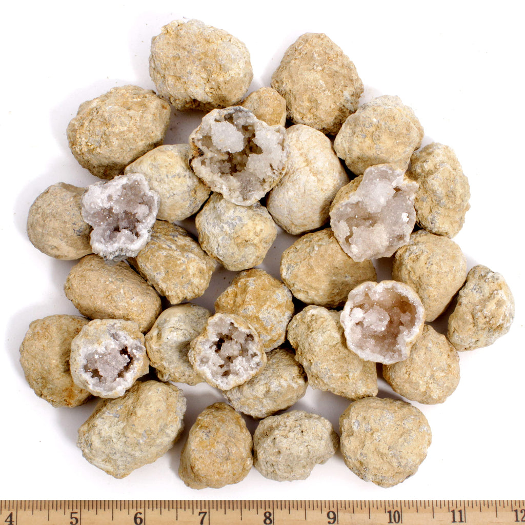 DANCING BEAR 25 Break Your Own Geodes, (Medium 1-1.5") 90% Hollow, Crack Open & Discover Amazing Surprise Crystals Inside! Educational Info and Instructions Included, Fun Party Favors & Prizes