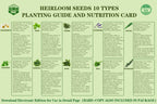 Meekear 10 Herb Seeds Garden Starter Grow Kit with Green Pots, Markers, Soil Discs, Watering, Herb Clipper, Complete Indoor Potted Plant Growing Set for Kitchen DIY