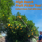EXTEND-A-REACH 5-30 ft Telescoping Fruit Picker Pole with Basket