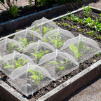 4 Sets Strawberry Plant Supports with Plant Protectors from Animals,Strawberry Growing Support Stakes with Mesh Plant Cover and Metal Garden Lawn Spikes Strawberry Planting Stand for Garden Vegetables