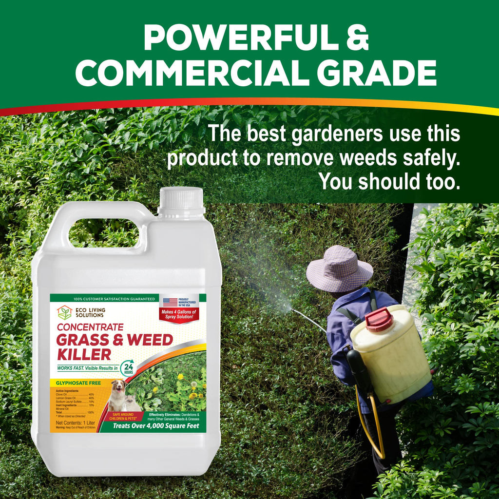 Eco Living Solutions Weed Killer Concentrate - Pet Safe, Organic Spray for Grass, Moss, Crabgrass & Dandelion | Glyphosate Free Herbicide (32 oz)