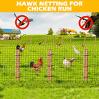 BSTPCOO 2.4" Mesh Bird Netting for Chicken Coop 50'x50', Poultry Netting