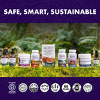 Host Defense Mushrooms Lion's Mane - Supplement Capsules for Brain Health Support - Mushroom Support for Focus & Memory Function - Immune & Nervous System Supplement - 60 Capsules