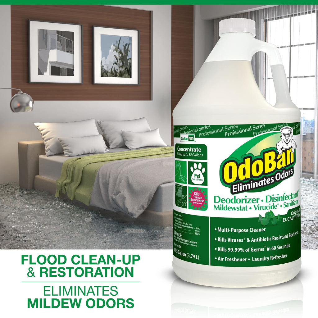 OdoBan Professional Disinfectant and Odor Eliminator Concentrate, 4 Gallons, Original Eucalyptus Scent