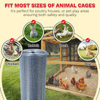 Sanzeus Hardware Cloth, 1/4 Inch 48in x 100ft 23 Gauge, Double-Layer Hot-Dip Galvanizing After Welding, Chicken Wire Fence Wire Mesh Poultry Netting Garden Fence Tree Guard Rolls