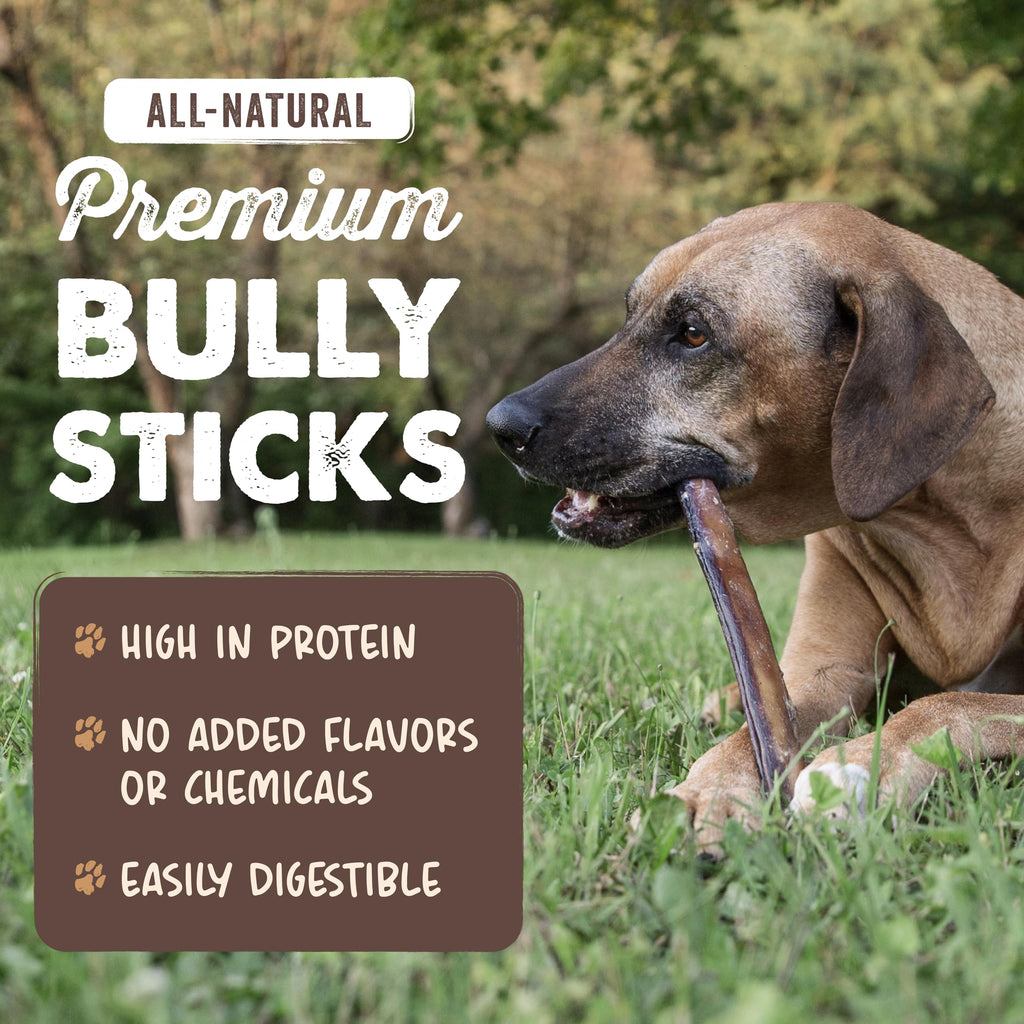Mighty Paw 12" Bully Sticks for Dogs - Large, Medium and Small Dog Chew