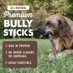 Mighty Paw 12" Bully Sticks for Dogs - Large, Medium and Small Dog Chew
