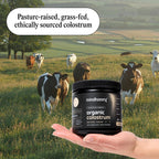 MINDHONEY Organic Colostrum | Premium Cacao Flavored Superfood Powder | Gut Health & Immunity, Skin & Hair, Anti-Aging, Performance & Recovery | Grass-Fed, Pasture-Raised | 30 Servings