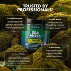 Secret Element Sea Moss Gummies 1300MG for Women and Men, Irish Sea Moss with Bladderwrack & Burdock Root, Vegan Sea Moss Gummies, Sugar Free, Non-GMO, Apple Flavor, 60 Gummies