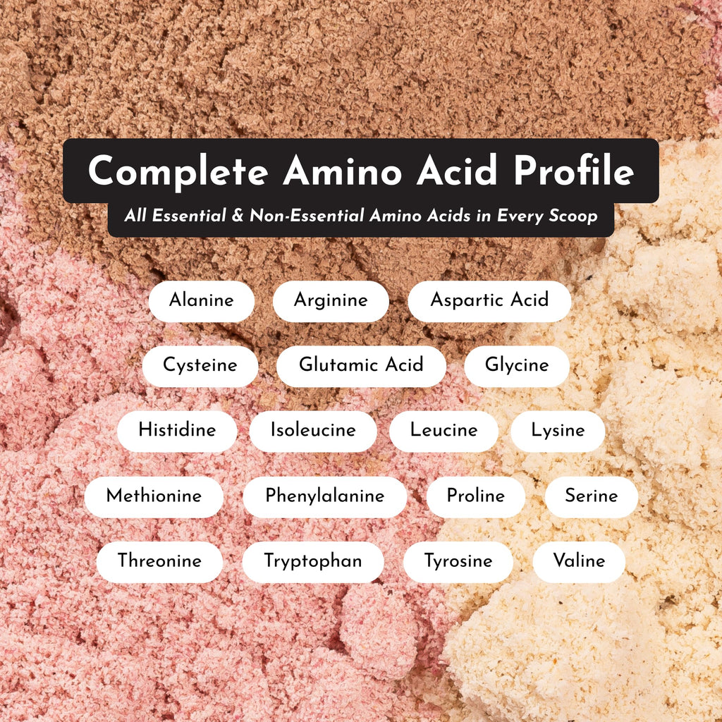 JUST INGREDIENTS Coconut Chocolate Protein Powder – 30-Serving Blend with 100% Grass-Fed Whey & Organic Plant Proteins – Creamy Coconut Cocoa Flavor – Supports Muscle Recovery, Energy*