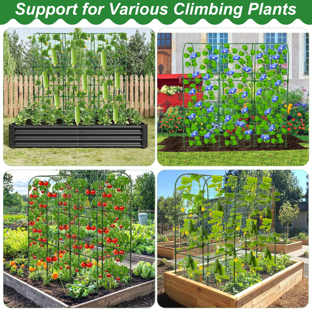 Cucumber Trellis for Raised Bed 51 x 50 Inch U-Shape Garden Trellis for Climbing Plants Outdoors Metal Garden Cucumbers Arch Trellis, Cucumber Plant Support for Tomato, Pea, Zucchini, Vine Flower
