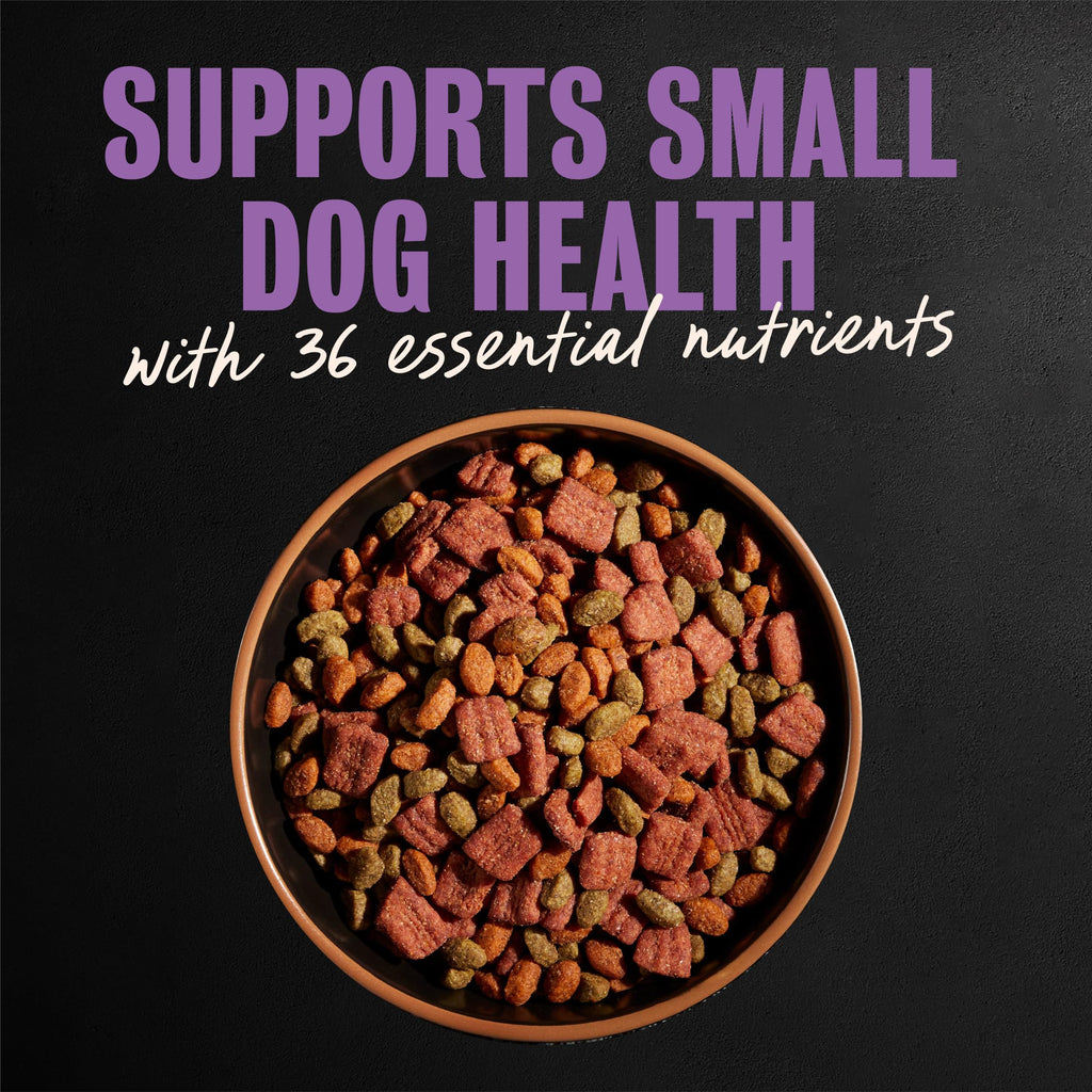 Cesar Small Breed Dry Dog Food, Filet Mignon & Spring Vegetables, 12 lb