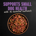 Cesar Small Breed Dry Dog Food, Filet Mignon & Spring Vegetables, 12 lb