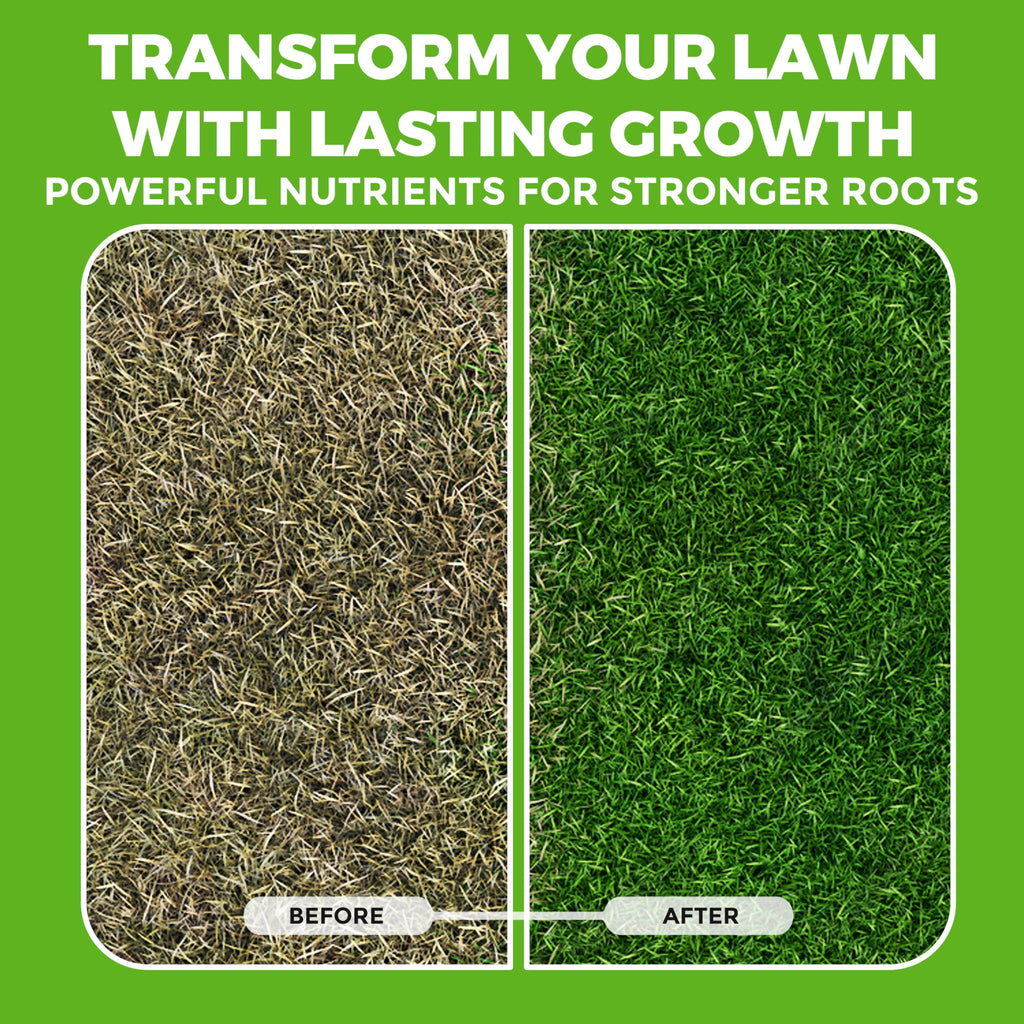 Covington Liquid Lawn Aerator (32oz) – Soil Conditioner & Softener for Lawns & Gardens – Loosens Clay & Compacted Soil for Better Water & Nutrient Absorption – Liquid Aeration Concentrate, Made in USA