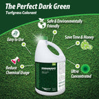 Endurant Turf Colorants - Fairway Spray On Green Grass Paint for Lawns - Revives Dry, Patchy Yards - Dark Grass Hue - Easy to Use, Concentrated Turf Grass Dye - Covers Approx 10,000 Sq Ft - 1 Gal