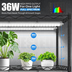 JESLED Indoor Greenhouse with Grow Light, 35.4x13.8x59IN