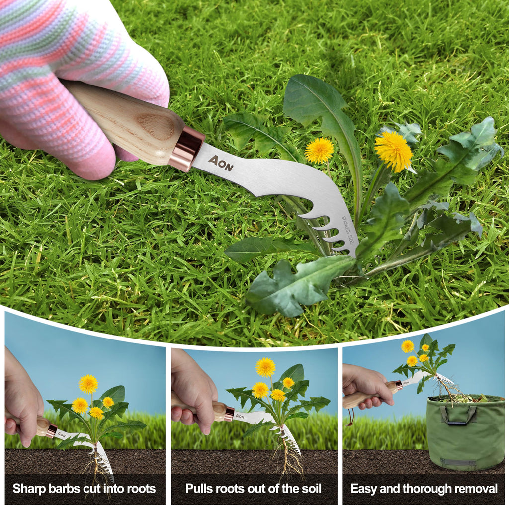 AON 2-Pack Crack Weeder & Root Remover Tool Set for Patios and Gardens