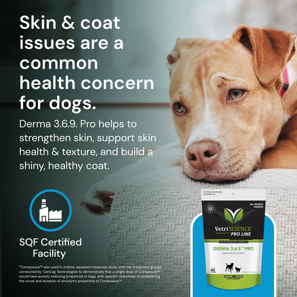 VetriScience Vetri-Flex Chews for Dogs over 60 pounds - Veterinary Recommended Canine Joint Supplement for Hips and Knees - 60 Soft Chews