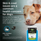 VetriScience Vetri-Flex Chews for Dogs over 60 pounds - Veterinary Recommended Canine Joint Supplement for Hips and Knees - 60 Soft Chews