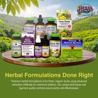 Herbs Etc. ChlorOxygen Chlorophyll Concentrate - Aids Healthy Blood Circulation - High-Altitude Environment Support - Energy Support - 120 Softgels (120 Servings)