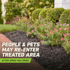 Ortho GroundClear Weed & Grass Killer with Comfort Wand, 1 gal.