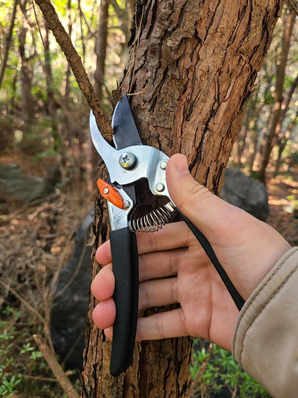 Saboten Japanese Pruning Shears 7.9" – Professional Bypass Garden Clippers, Made in Japan, Sharp Carbon Steel Blade with Sap-Resistant Fluorine Coating, Cuts up to 3/4 in (20 mm)