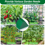 Qinzave 256PCS Garden Stakes Set with 75PCS 16 Inch Fiberglass Plant Sticks and Stake Arms, DIY 4ft 5ft 6ft 7ft 8ft Tomato Stakes, Garden Stakes for Vegetables Tomato Pepper Indoor Outdoor Plants