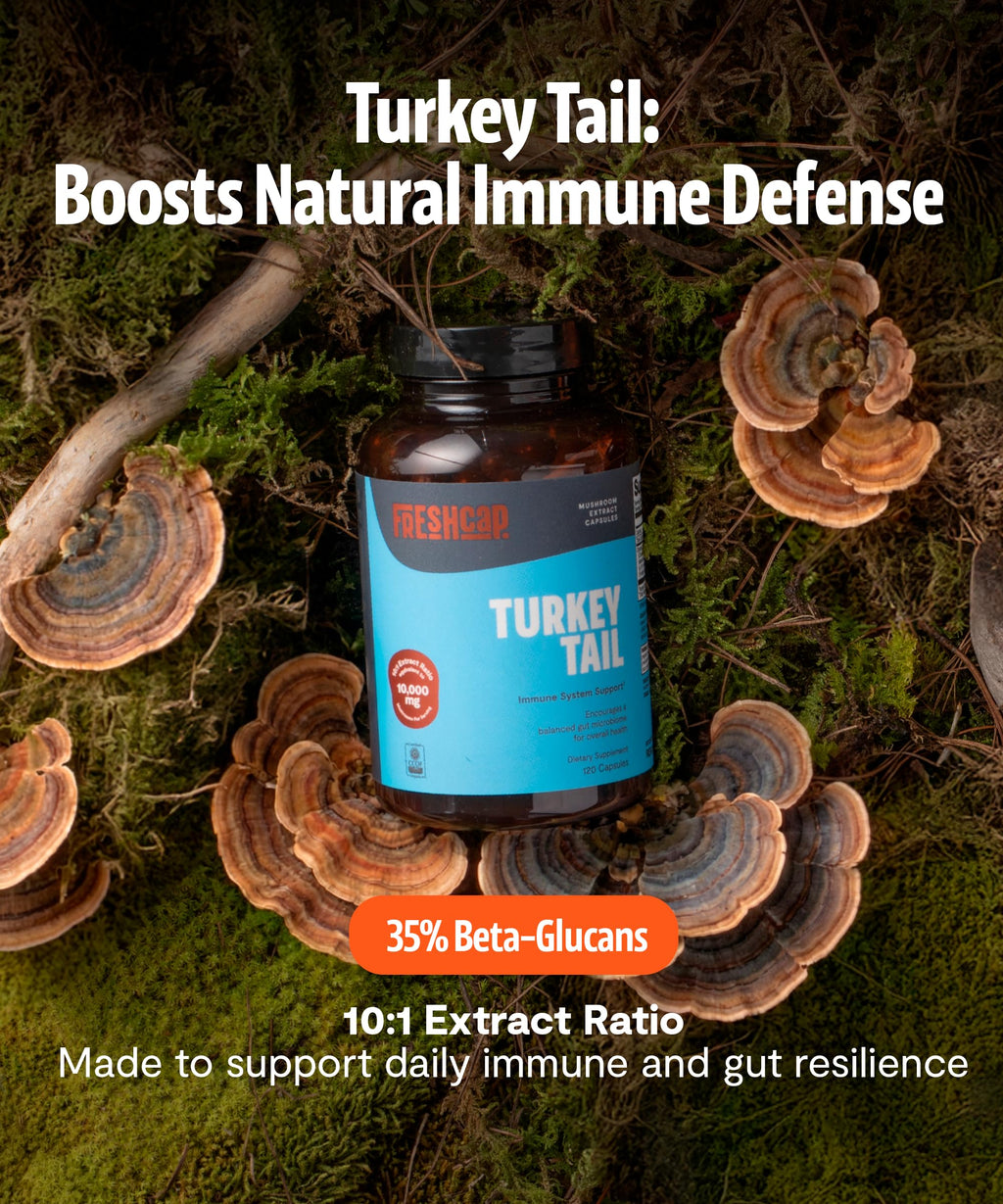 FreshCap Mushrooms Premium Organic Turkey Tail Supplement Capsules - 10:1 Fruiting Body Extract with 35% Beta-Glucans - 3rd-Party Tested - Supports Daily Immunity and Gut Resilience (120 Capsules)