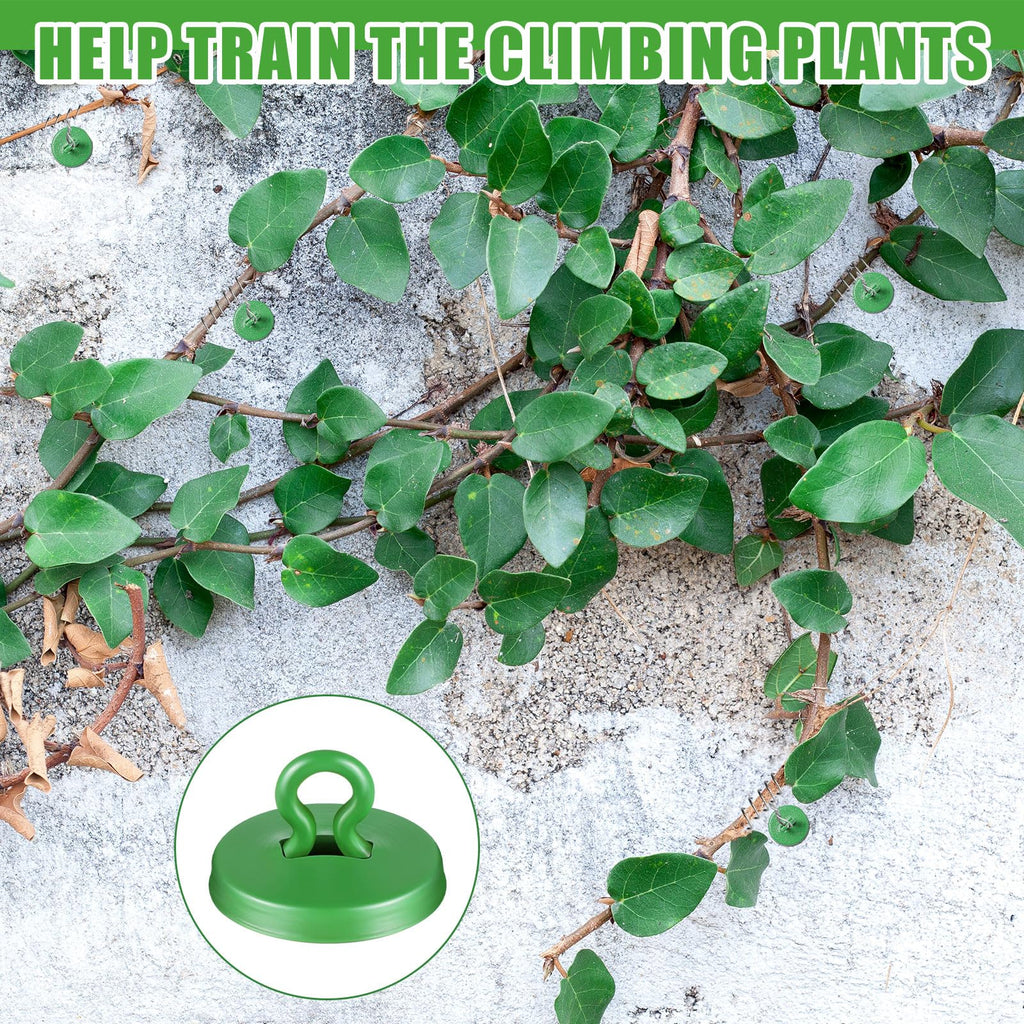 WILLBOND Plant Anchor Kit, 80 Pcs Vine Anchors 5 Pack Silicone Adhesive Sealant Garden Tie Tape Metal Wire Wire Cutters for Spring Trellis Vine and Stucco Brick Wall Climbing Plants Supplies(Green)