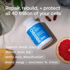 BodyBio PC - Phosphatidylcholine for Brain Health, Mental Clarity, Cognitive Function, Cellular Repair & Healthy Aging, Phospholipid Complex Supplement for Gentle Daily Detox