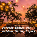 ADIIL Q Hanger Ceiling Screw Hooks for Hanging Outdoor String Light, Plants