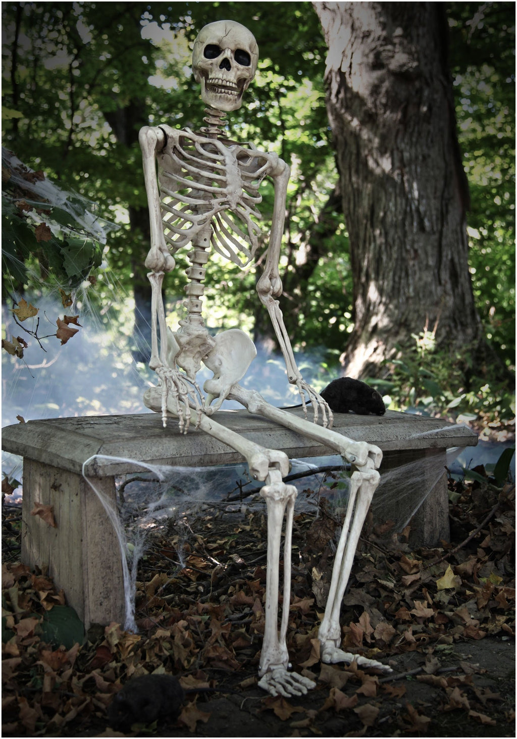 Crazy Bonez Original Pose-N-Stay Halloween Skeleton, 5 FT – Life-Size