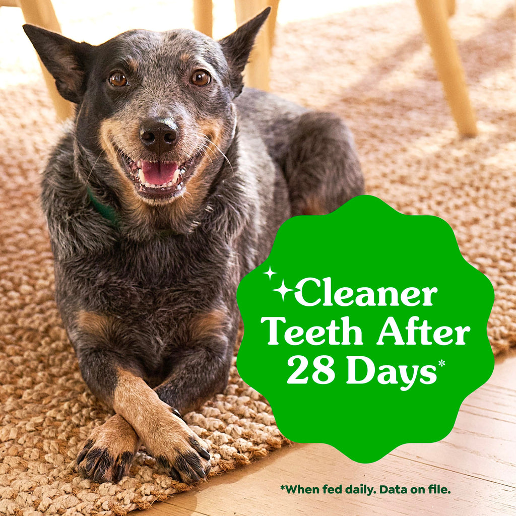 Greenies Large Natural Dental Dog Treats, Original Flavor, 24 Count