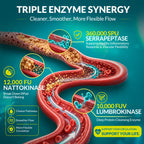 Nattokinase Supplement 12,000 FU (Max Strength) Serrapeptase 360,000 SPU, Lumbrokinase 10,000 FUV & CoQ10 -Systemic Enzymes Complex for Cardiovascular & Circulatory, Gut & Digestion Health-90 Capsules