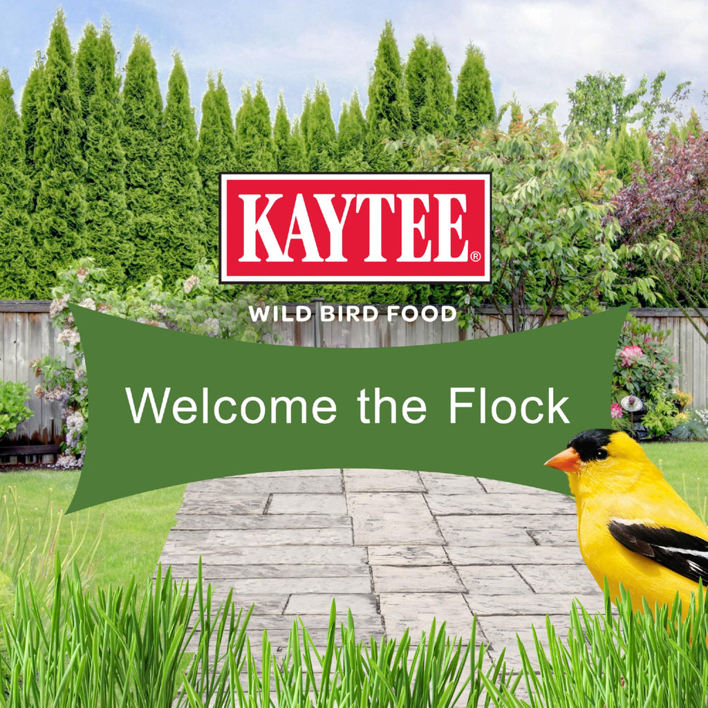 Kaytee Ultimate No Mess Wild Bird Seed, 9.75 Pounds
