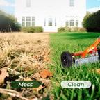 Walensee Manual Lawn Dethatcher Rake with Wheels, Adjustable Handle