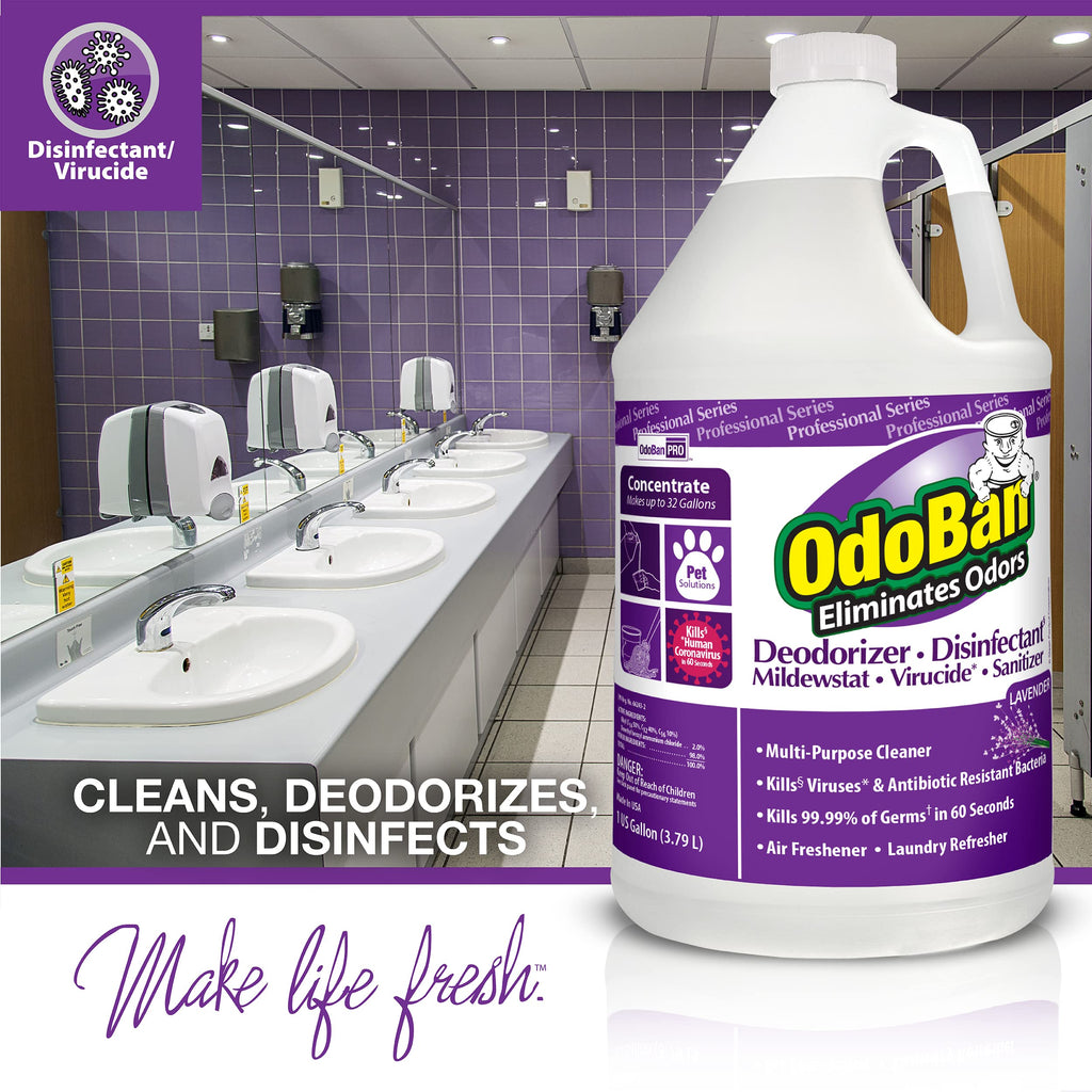 OdoBan Professional Disinfectant and Odor Eliminator Concentrate, Made in the USA, Lavender Scent, 4-Pack, 1 Gallon Each