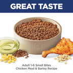 Hill's Science Diet Adult 1-6 Small Bites Dry Dog Food