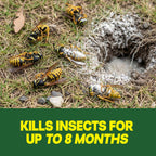 Raid Outdoor Wasp Ground Nest Killer, Dust Insecticide for Outside Household Use, Wasp Killer, Fast-Working and Odorless, 24 Oz
