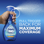 Dawn Platinum Powerwash Dish Spray - Apple Scent