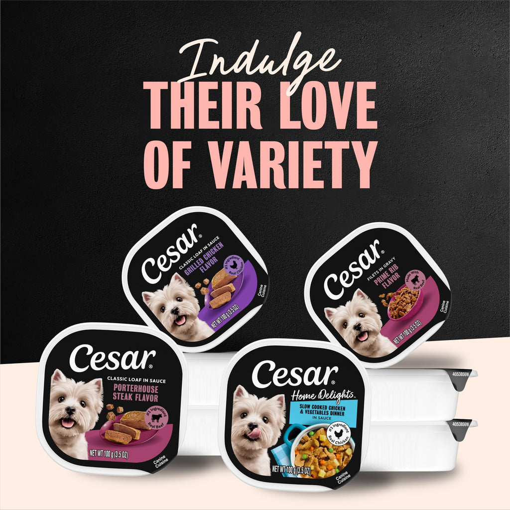 Cesar Filets in Gravy Wet Dog Food, Steak Mix Variety, 3.5 oz, 24 Count