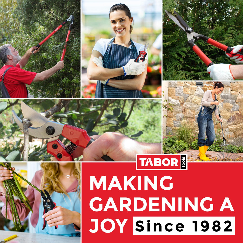 TABOR TOOLS GG21A Extendable Bypass Lopper with Compound Action, 27-40 Inch Telescopic Tree Trimmer & Branch Cutter, Long Reach Tree Pruner with 1 1/2 Inch Cut Capacity, Makes Clean Neat Cuts