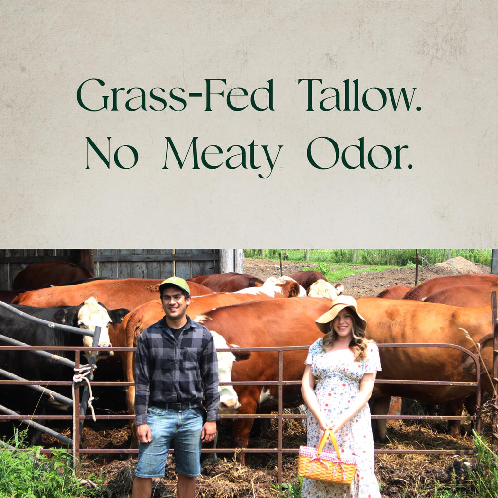 Ancestral Haven Beef Tallow for Skin - Tallow And Herbal Balm For Face - Gift Ready Box - Tallow Face Moisturizer - Tallow Balm - Grass Fed Tallow Face Cream Lotion (5.0 Oz, Herbal-Rose)
