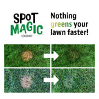 Spot Magic by Mark & Phil’s - Green Instant Lawn Grass Colorant Spray 24oz - Non-Toxic Pet & Kid Safe,- Long-Lasting Results for Concealing Brown & Pet-Damaged Grass Areas
