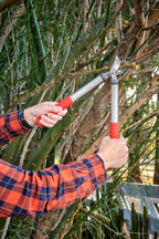 Corona Tools Forged Steel ClassicCUT Bypass Hand Pruner – 3/4-inch Cut Capacity Heavy-Duty Garden Pruning Shears for Tree, Shrub & Plant Trimming