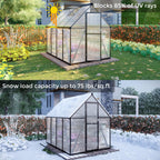 Jiliusure 6 x 4 FT Polycarbonate Greenhouse with Roof Vent, Charcoal Black