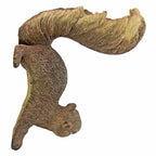 Design Toscano Simone, The Squirrel Hanging Sculpture